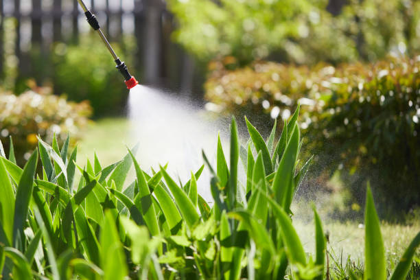 24/7 Emergency Mosquito Control experts in Campbell, MO