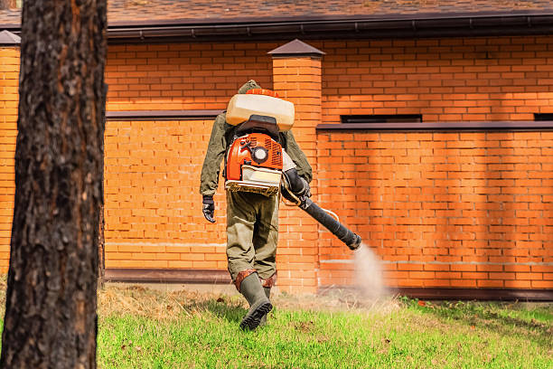 Top rated local Mosquito Control specialists in Campbell, MO